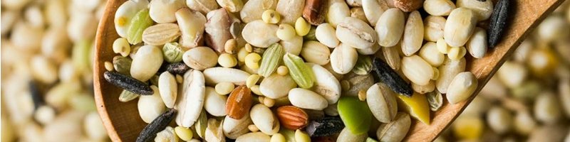 ���咍�ځI �������肨���������Y�j�\�܎G���ď��T�C�g